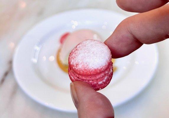 How cute is this mini Macaron?