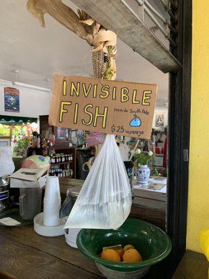 Invisible Fish from the South Pole ($25)