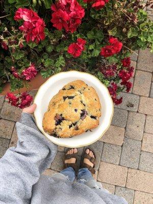 Our fresh baked Blueberry Scone!