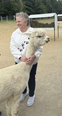 Northern Solstice Alpaca Farm