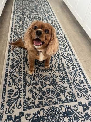 Freshly groomed after her spa day