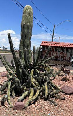 Raul & Theresa's a Valley of the Sun epic Culinary institution!