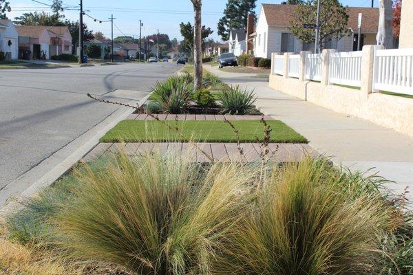 We transformed this parkway with wood walkways, Desertscape and turf giving this home major curb appeal.