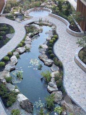 Koi pond out front