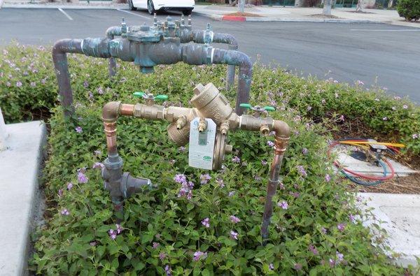 Backflow replacements