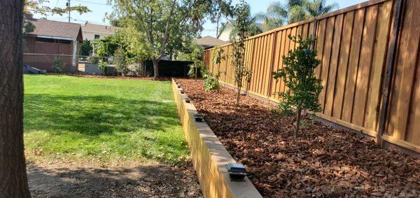 Installing new sod, retaining wall. Fruit trees,  back yard. Castro Valley