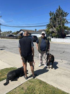 Les and his lab socializing my dog with my son.