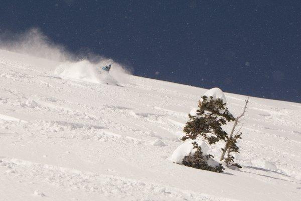 Sunny skies and Powder. Wasatch Range, Utah