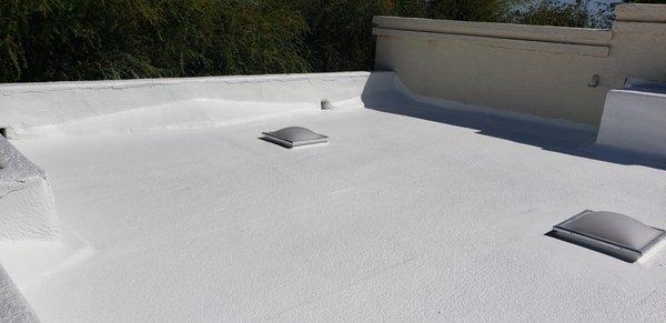 Foam Re-Roof and Skylight Replacement.