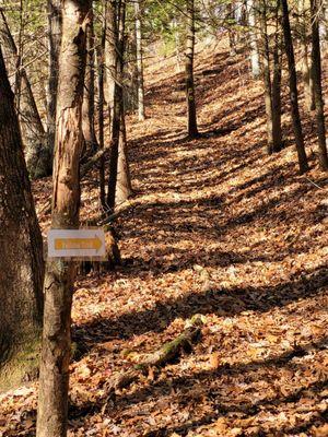 Harry C Barnes Memorial Nature Center