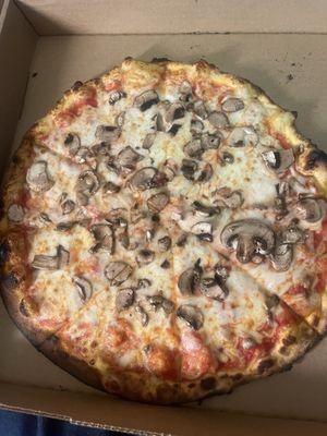 Mushroom pizza