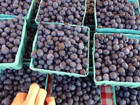 Blueberries on salads, on ice cream, in cobbler, hmmmm...