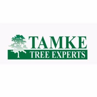 Trees should be preserved and admired. Well cared-for trees add beauty, safety and considerable value to your property, while...