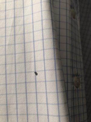 Punctured Shirt - see review