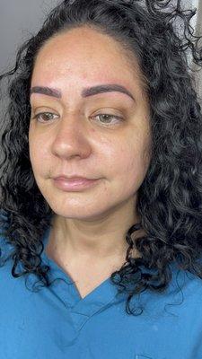 Microshaded Brows / Ombré Brows