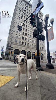 625 Broadway corner view