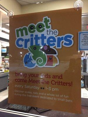 Meet the Critters! ... if you dare !!!!