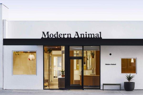 Modern Animal