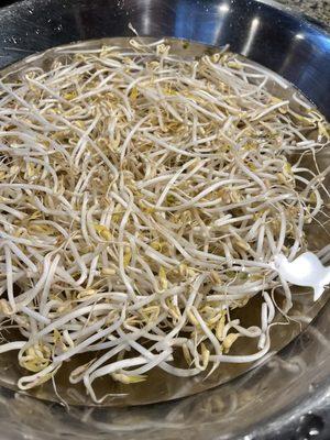 Fresh bean sprouts-soaking in salt and vinegar to rinse and clean