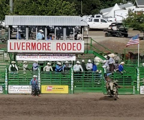 Bull riding