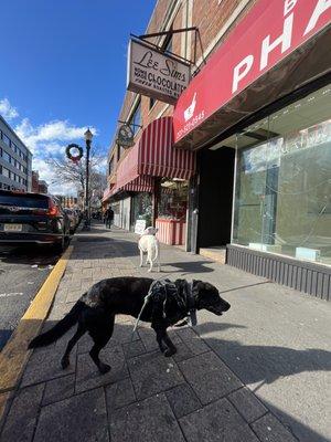 Liberty and Winny outside the chocolate shop (exterior)