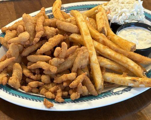 Clam strips and fries