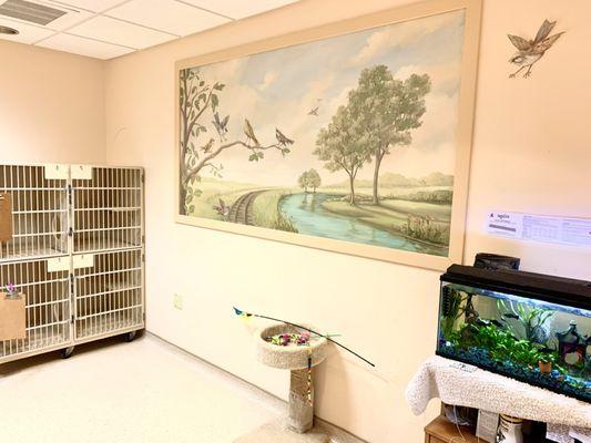 Separate quiet boarding room for cats.