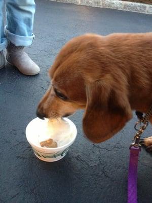 Licking this bowl across the parking lot!