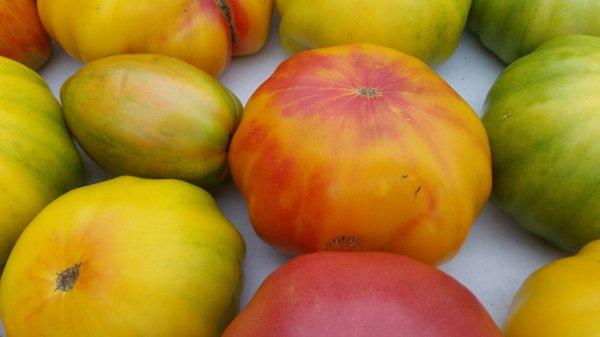 Organic heirloom tomatoes, locally grown!