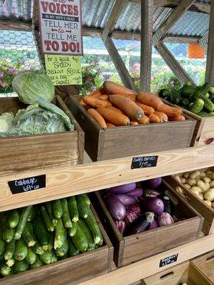 Look at the size of those carrots