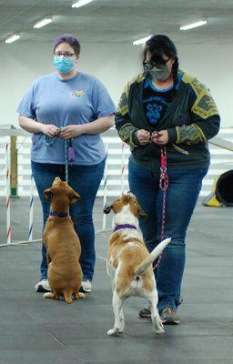 Strider and Roscoe strut there Rally stuff during orientation demos.