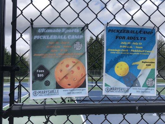 Pickle ball info