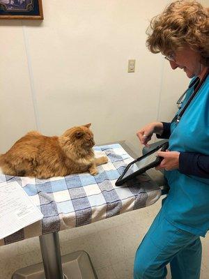 Dr. Kay showing Gus his radiograph.