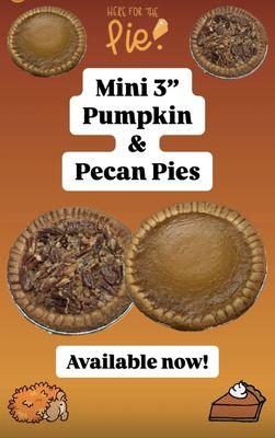 Personal Sized Pecan & Pecan Pies