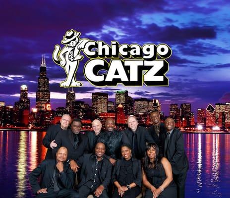 Chicago Catz Party Band