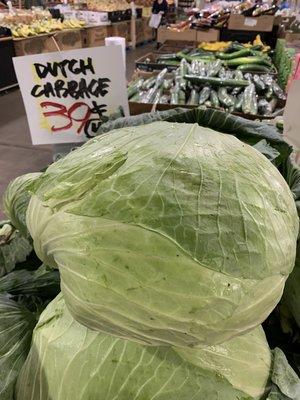 Cabbage