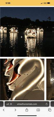 Light up swan paddle boats