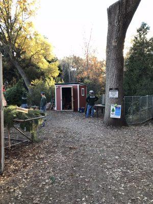 Tree shaking and optional netting.