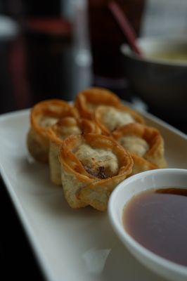 Fried Beef dumpling