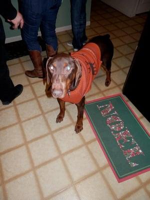 Heart Worm Free just in time for the Ugly Sweater Party two years ago!