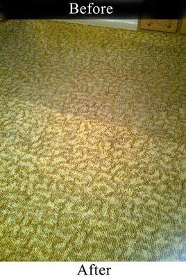 Commercial Hotel Carpet