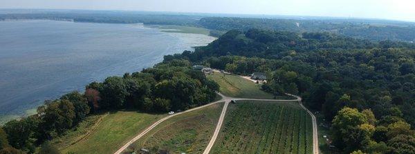 aerial view of vineyards