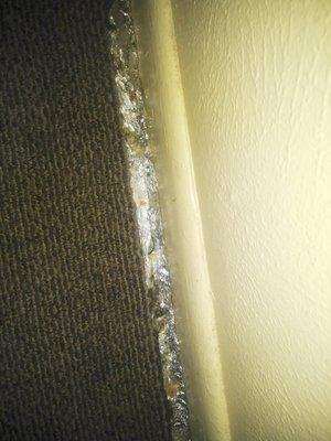 Nasty trim on carpet/ filthy