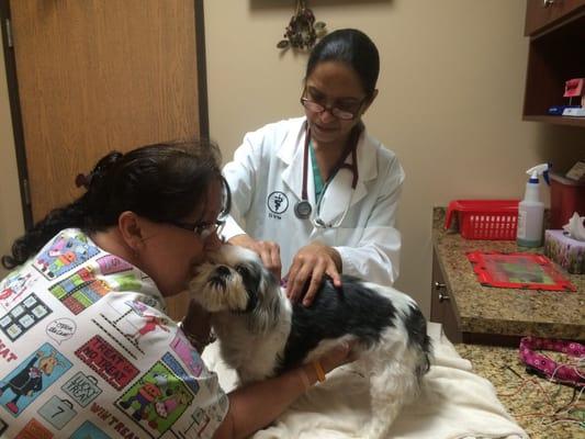 Gidget getting kisses from vet tech as Dr. Grewal gives her an acupuncture treatment.