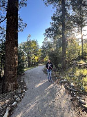 Trail in front of cabin six