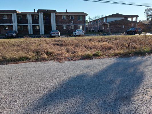 Trash Clean-Up for Property Owners and landlords