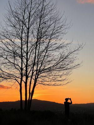 Sunset  in the park