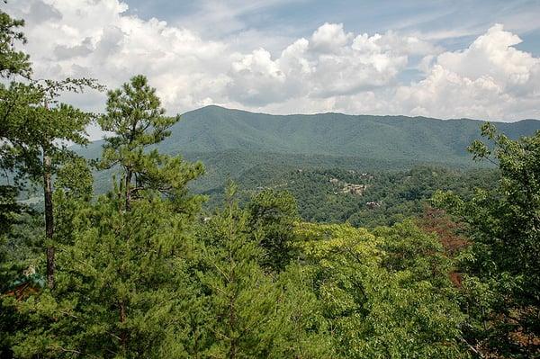 Views of the national park.