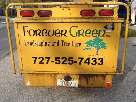 Forever Green Landscaping & Tree Service