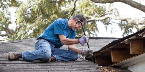 Do You Need Roof Repair? Get Your Questions Answered Here!